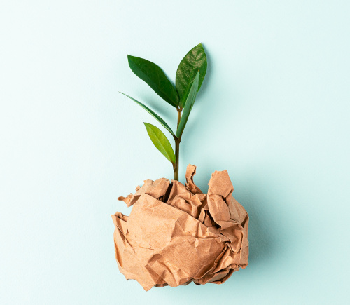 Paper Sustainability In Business Paper Sustainability In Business